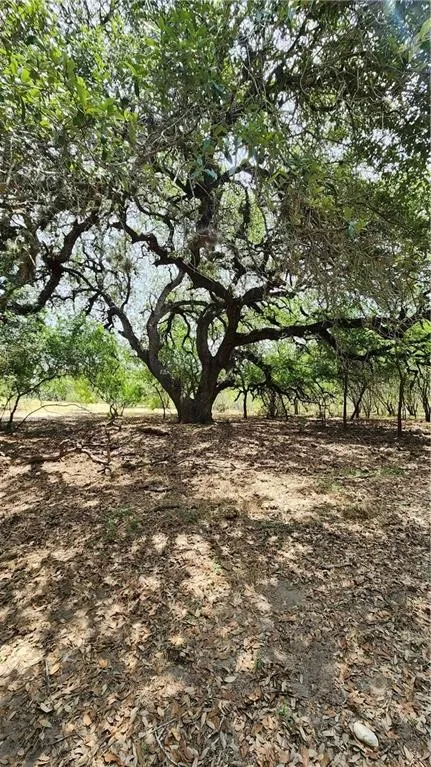 1249 CR 772 Natalia, TX 78059