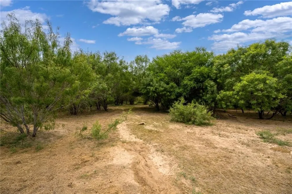 1249 CR 772 Natalia, TX 78059
