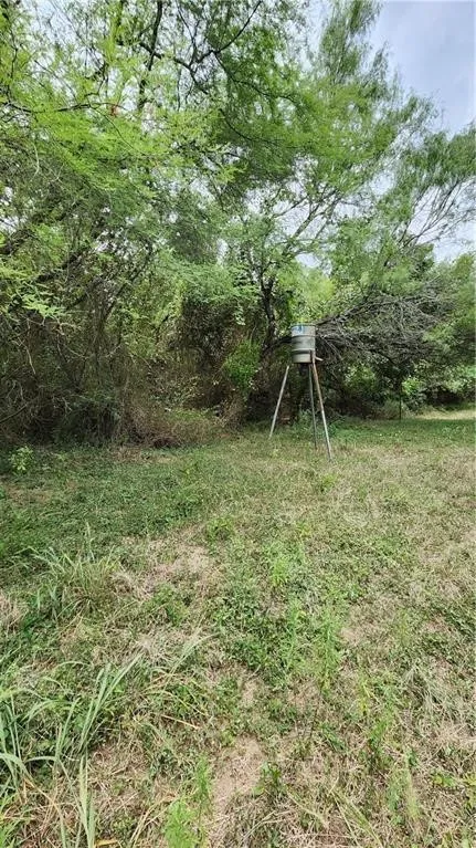 1249 CR 772 Natalia, TX 78059