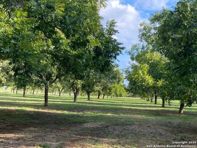 6 Collins Hill Rd Lytle, TX 78052