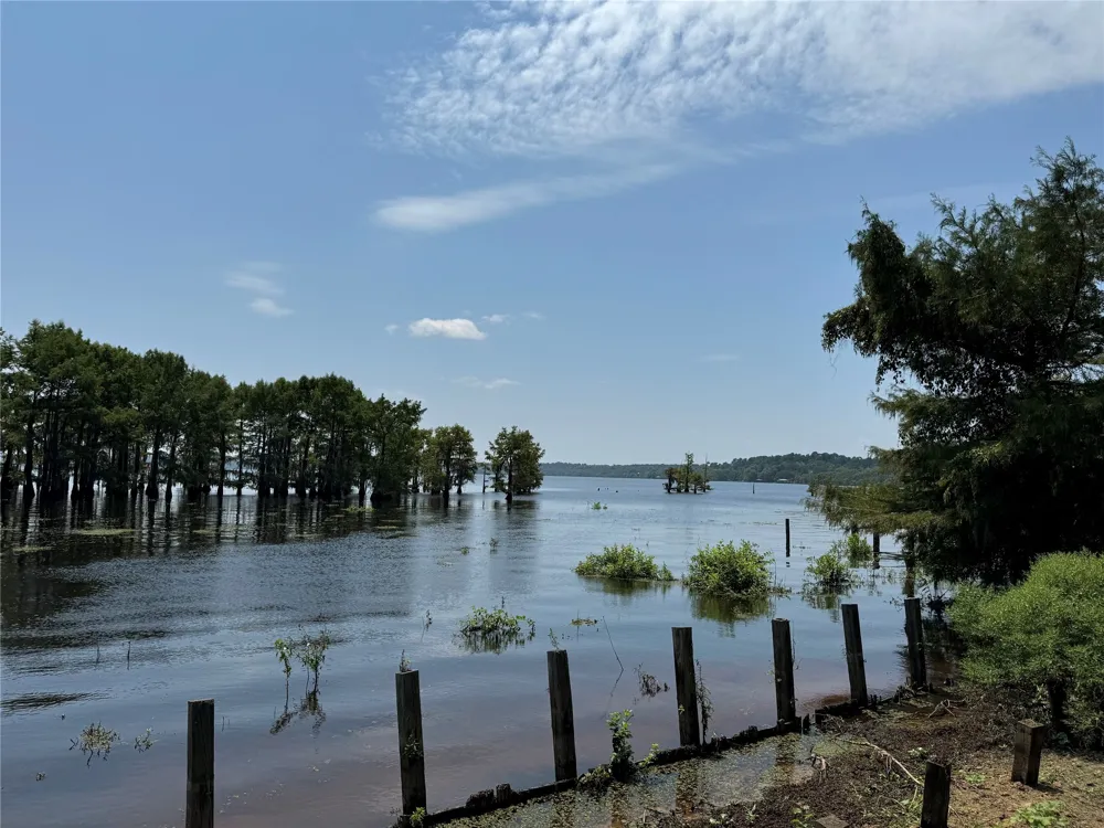1214 CC Sandidge Road Elm Grove, LA 71051