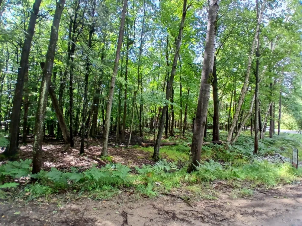 4756 Ridge Road Mears, MI 49436