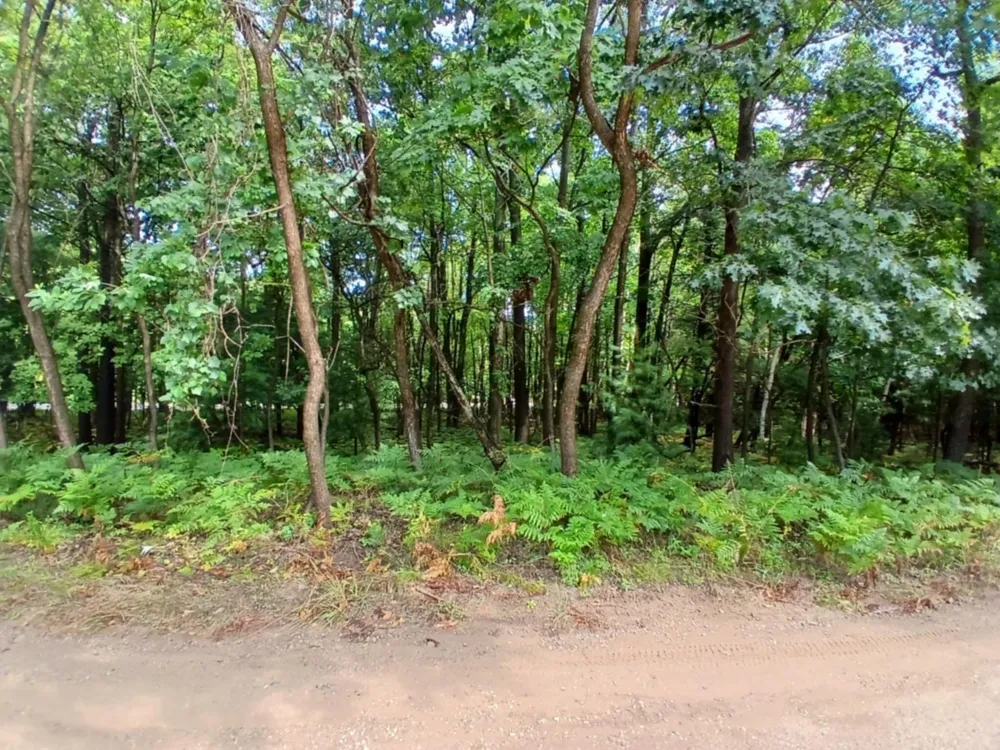 4756 Ridge Road Mears, MI 49436