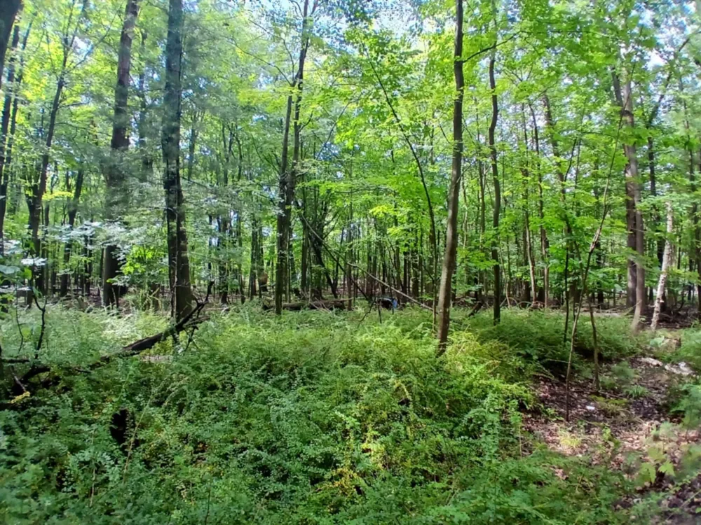 4756 Ridge Road Mears, MI 49436