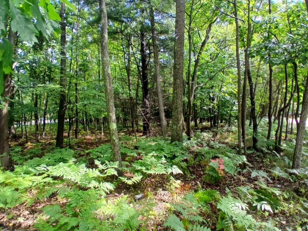 4756 Ridge Road Mears, MI 49436