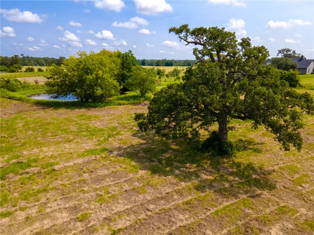 Scarborough Drive Iola, TX 77861