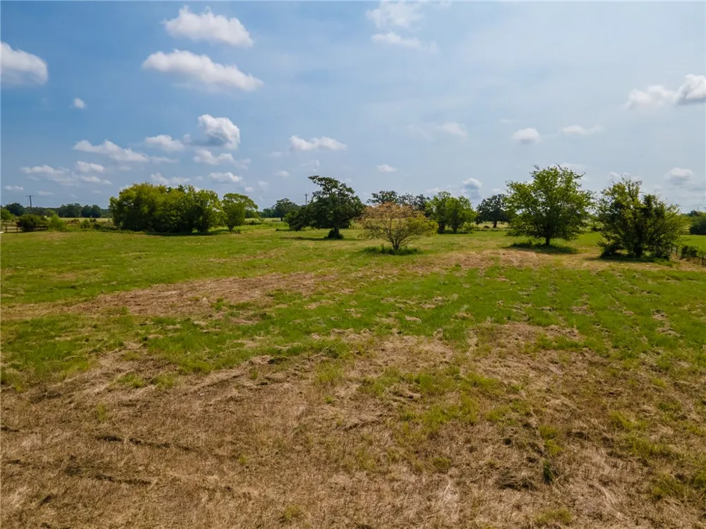 Scarborough Drive Iola, TX 77861