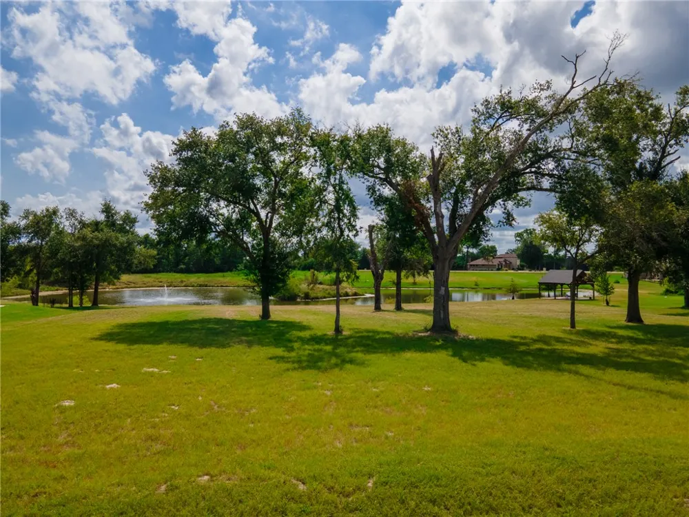 Scarborough Drive Iola, TX 77861