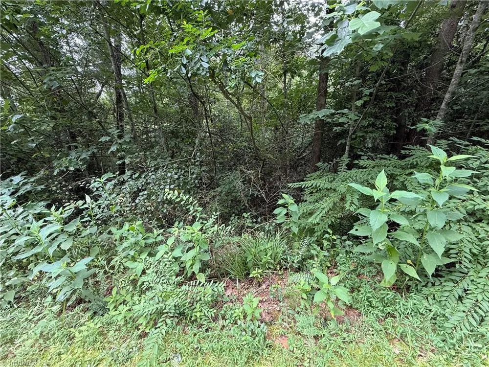 Lots 18 Zinzendorf Lane Moravian Falls, NC 28654