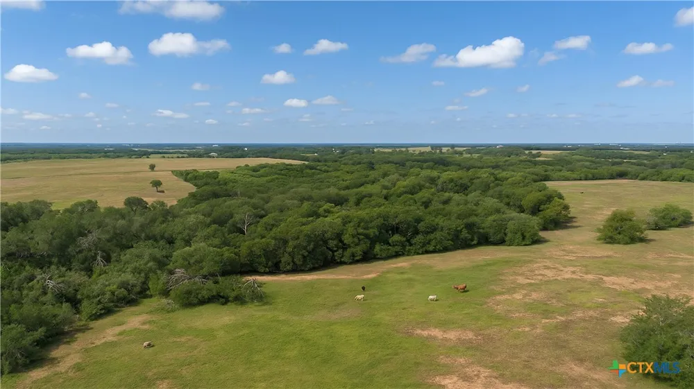 4425 US HWY 90 Seguin, TX 78155