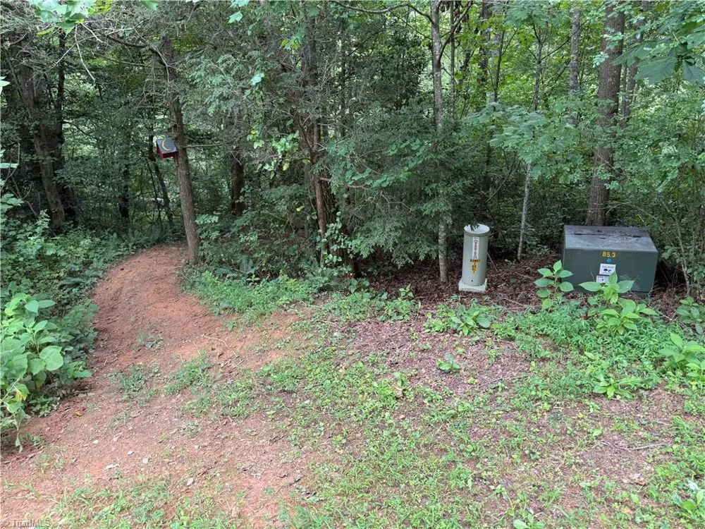 Lots 19 Zinzendorf Lane Moravian Falls, NC 28654