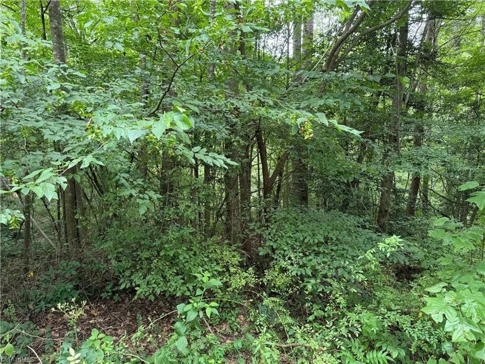 Lots 19 Zinzendorf Lane Moravian Falls, NC 28654