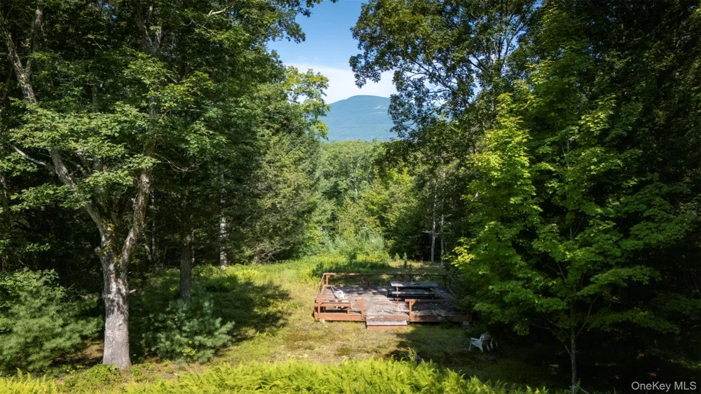 327 Phillips Road Saugerties, NY 12477