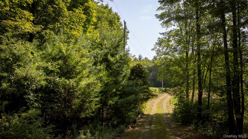 327 Phillips Road Saugerties, NY 12477