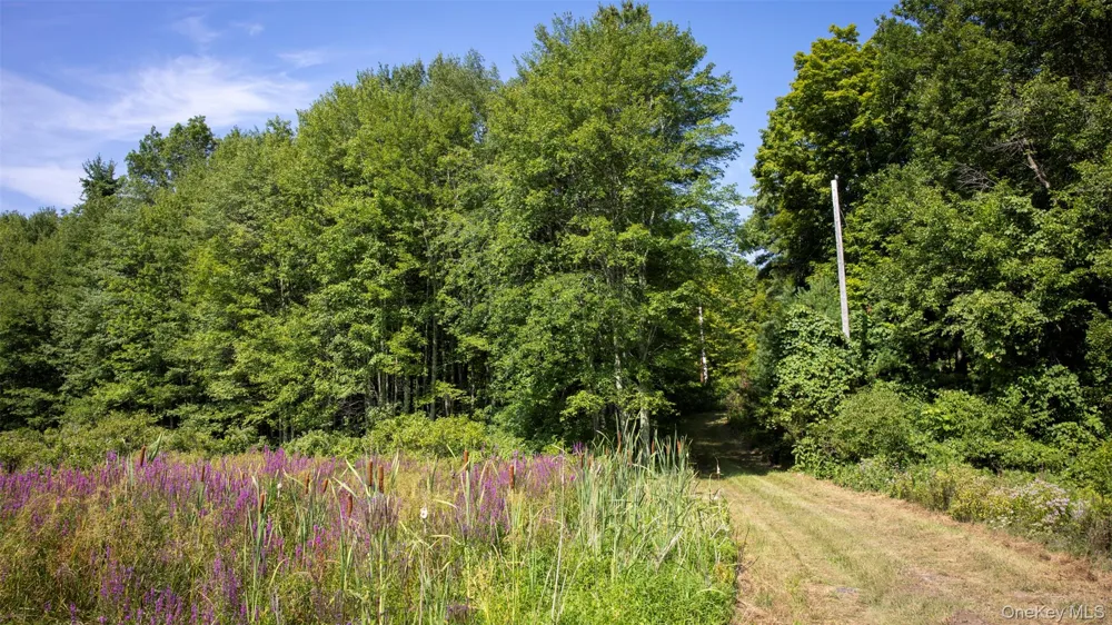 327 Phillips Road Saugerties, NY 12477