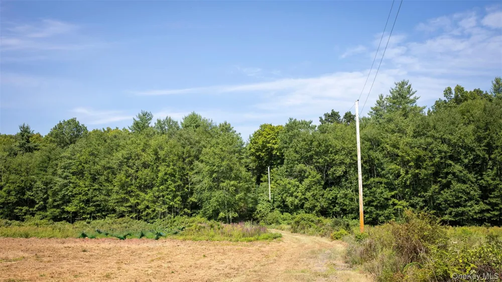 327 Phillips Road Saugerties, NY 12477