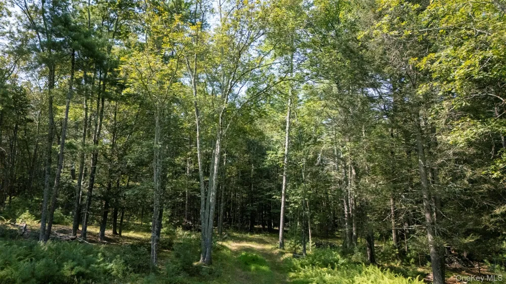 327 Phillips Road Saugerties, NY 12477