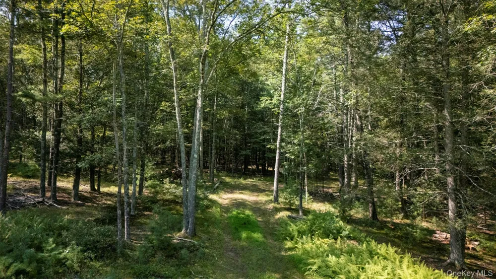 327 Phillips Road Saugerties, NY 12477