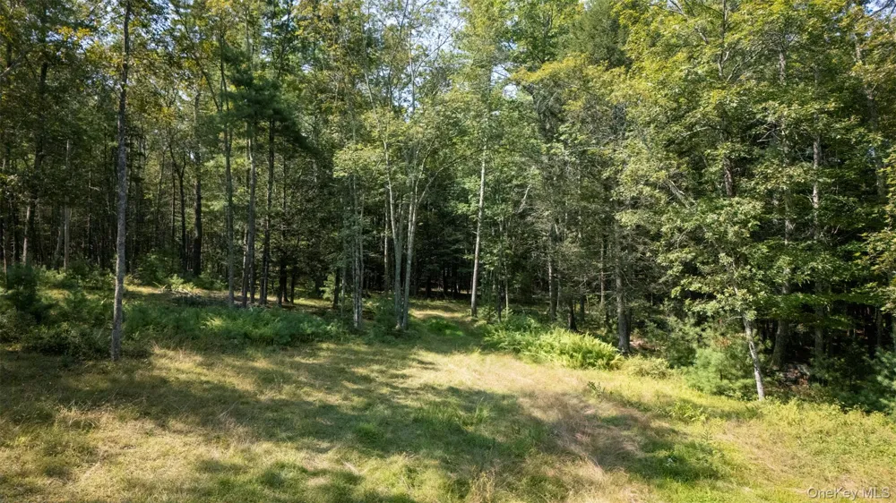 327 Phillips Road Saugerties, NY 12477