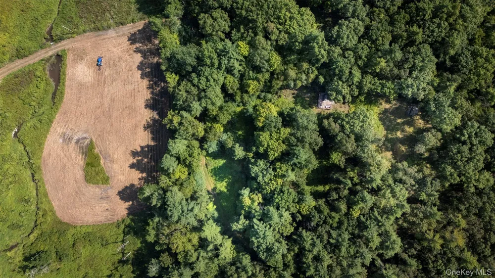 327 Phillips Road Saugerties, NY 12477