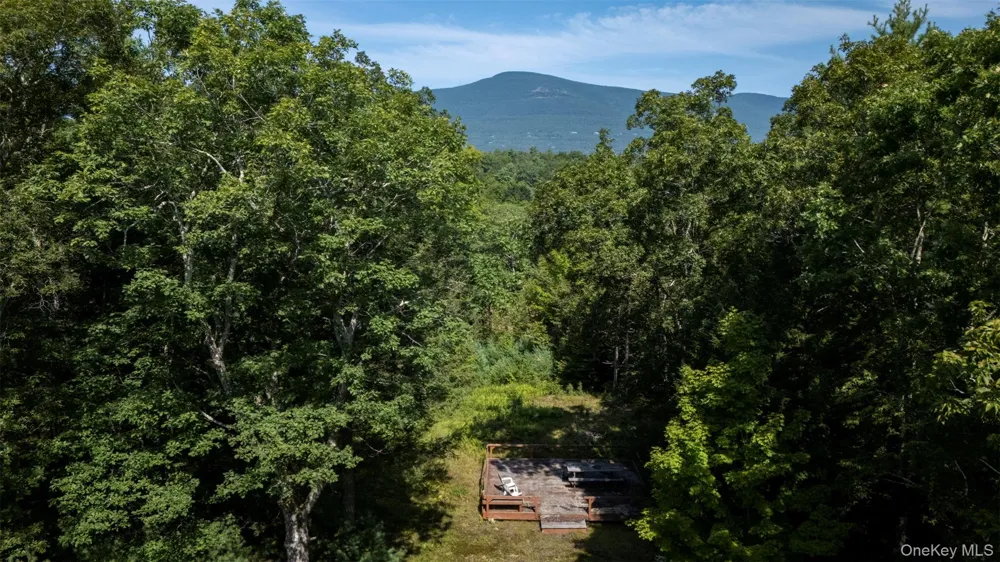 327 Phillips Road Saugerties, NY 12477