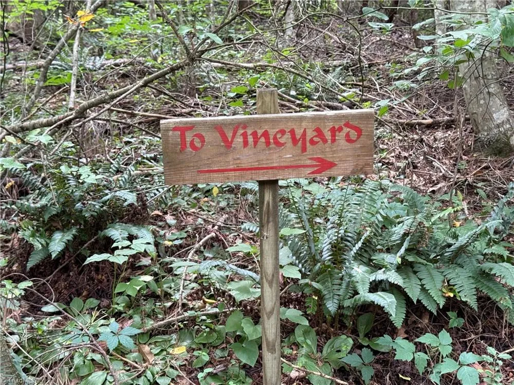 Lot 23 Zinzendorf Lane Moravian Falls, NC 28654