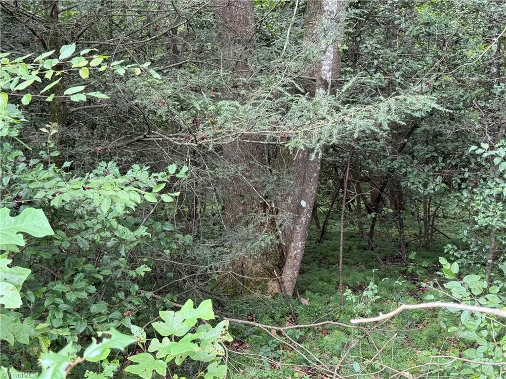 Lot 23 Zinzendorf Lane Moravian Falls, NC 28654