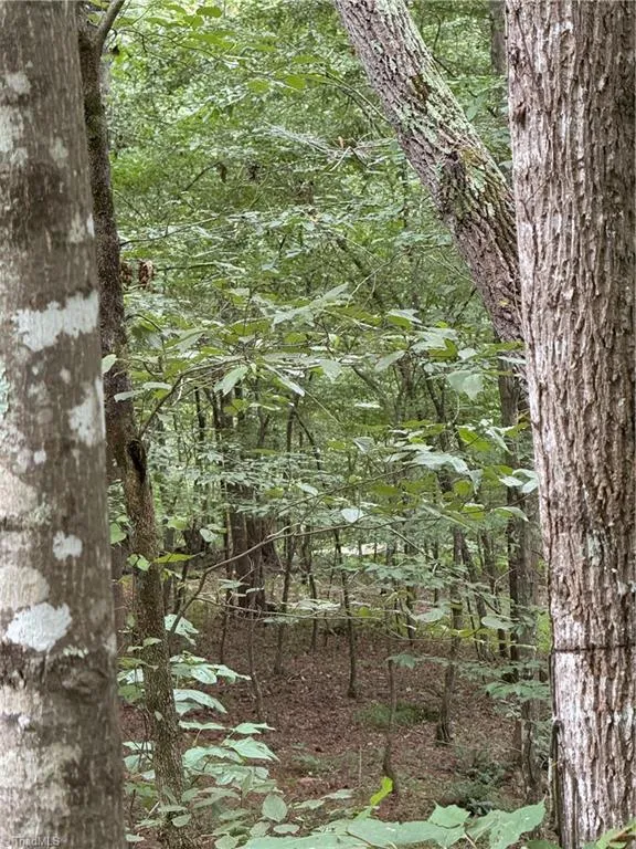 Lot 24 Zinzendorf Lane Moravian Falls, NC 28654