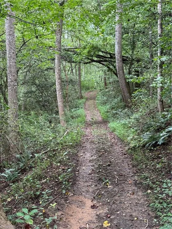 Lot 24 Zinzendorf Lane Moravian Falls, NC 28654