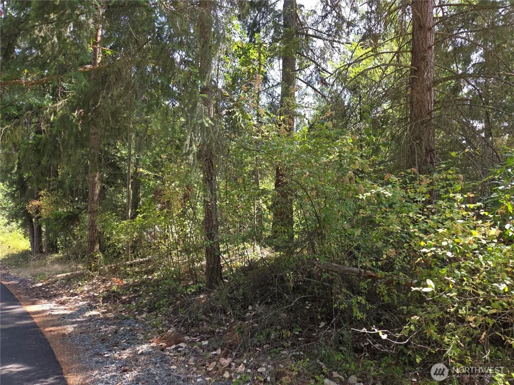 22137 Clear Lake Boulevard SE Yelm, WA 98597