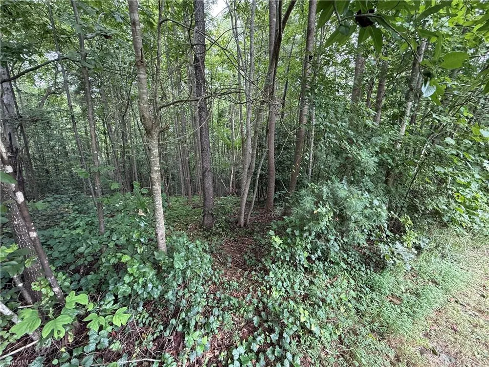 Lot 26 Zinzendorf Lane Moravian Falls, NC 28654