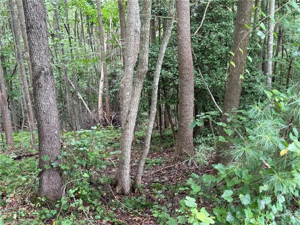 Lot 26 Zinzendorf Lane Moravian Falls, NC 28654
