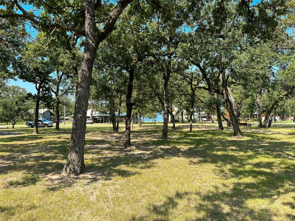 19778 County Road 377 Marquez, TX 77865