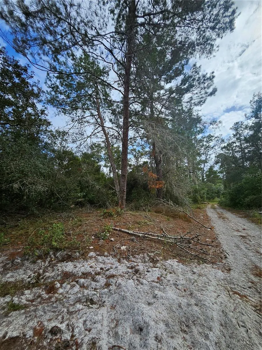 Address Not Shown Deltona, FL 32738