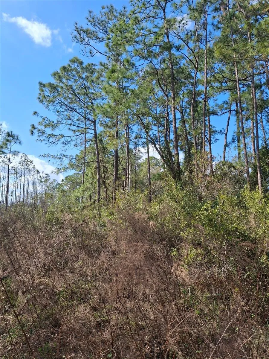 Address Not Shown Deltona, FL 32738