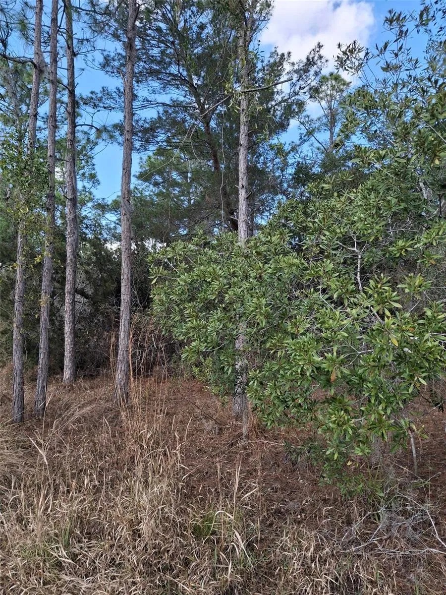 Address Not Shown Deltona, FL 32738