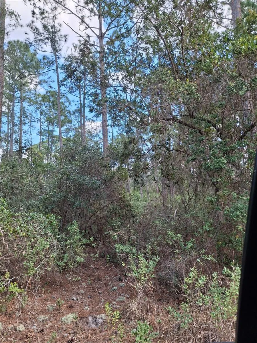 Address Not Shown Deltona, FL 32738