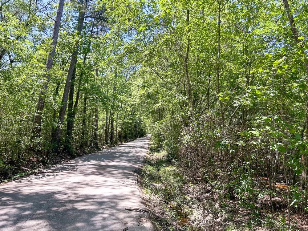 1 Lane Drive Lufkin, TX 75904