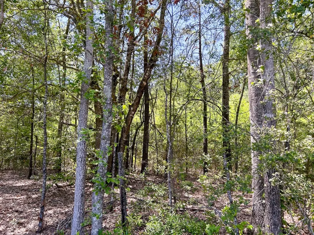 1 Lane Drive Lufkin, TX 75904