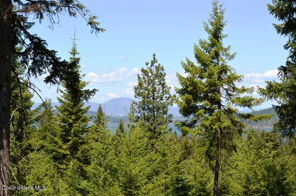 5287 S JACKLEG TRAIL Harrison, ID 83833