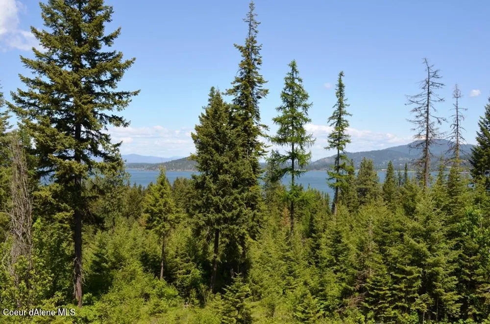 5287 S JACKLEG TRAIL Harrison, ID 83833