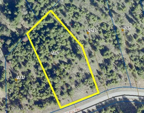 5287 S JACKLEG TRAIL Harrison, ID 83833