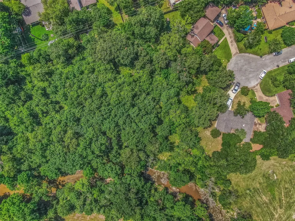 3814 Valley Oaks Drive Bryan, TX 77802