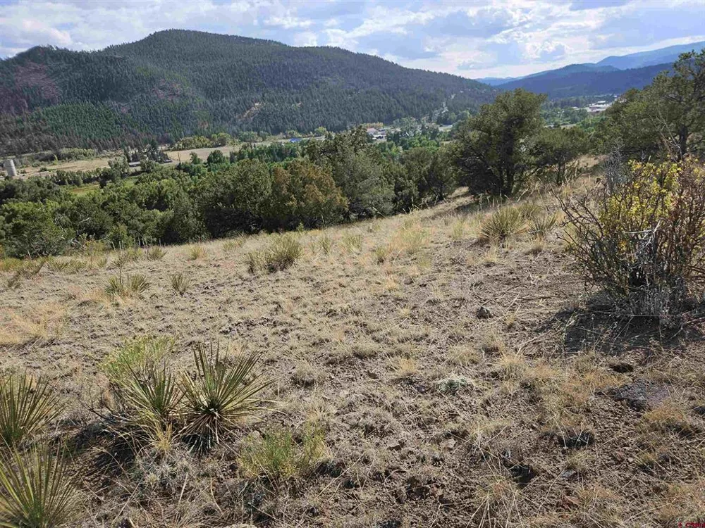 404 Vista De Verde Circle South Fork, CO 81154
