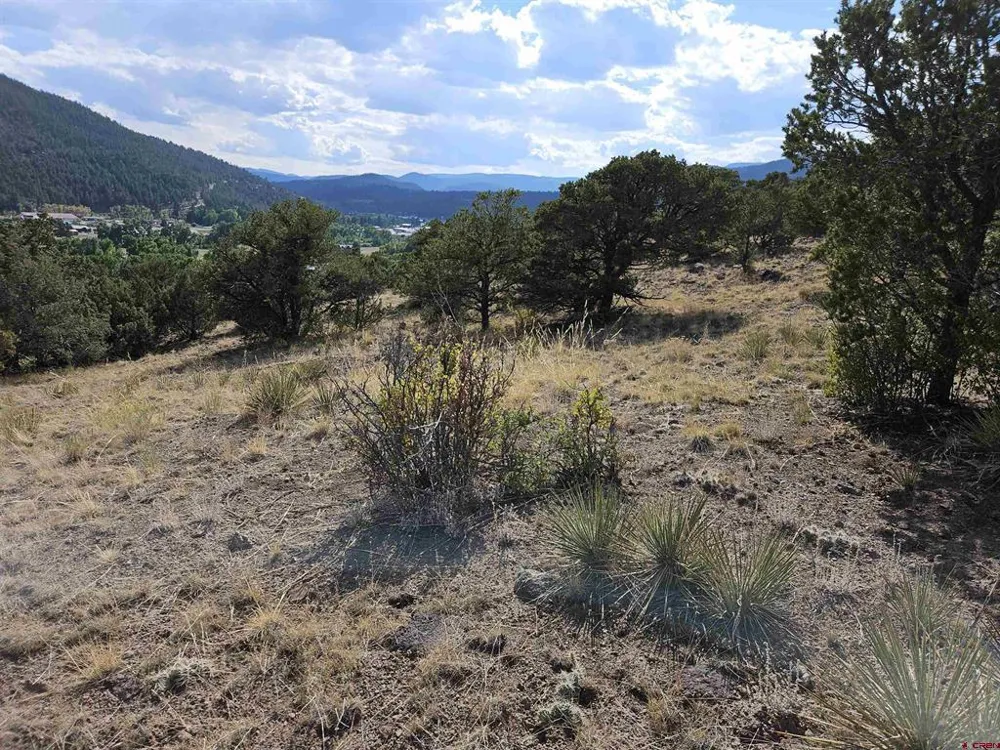 404 Vista De Verde Circle South Fork, CO 81154