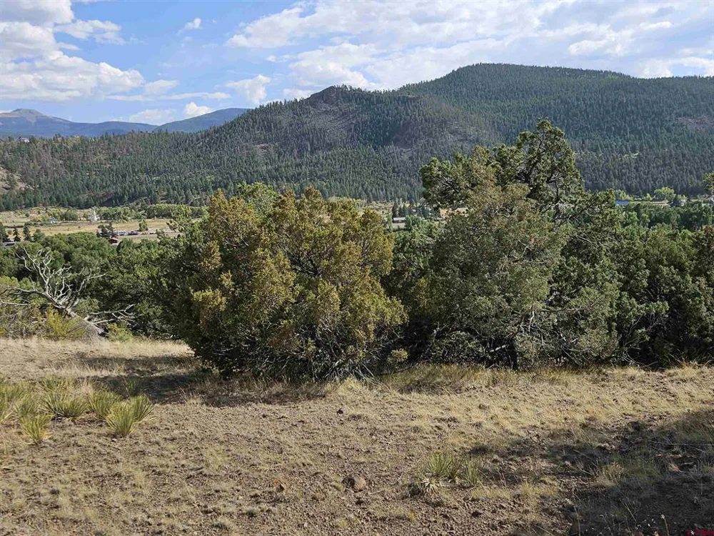 404 Vista De Verde Circle South Fork, CO 81154