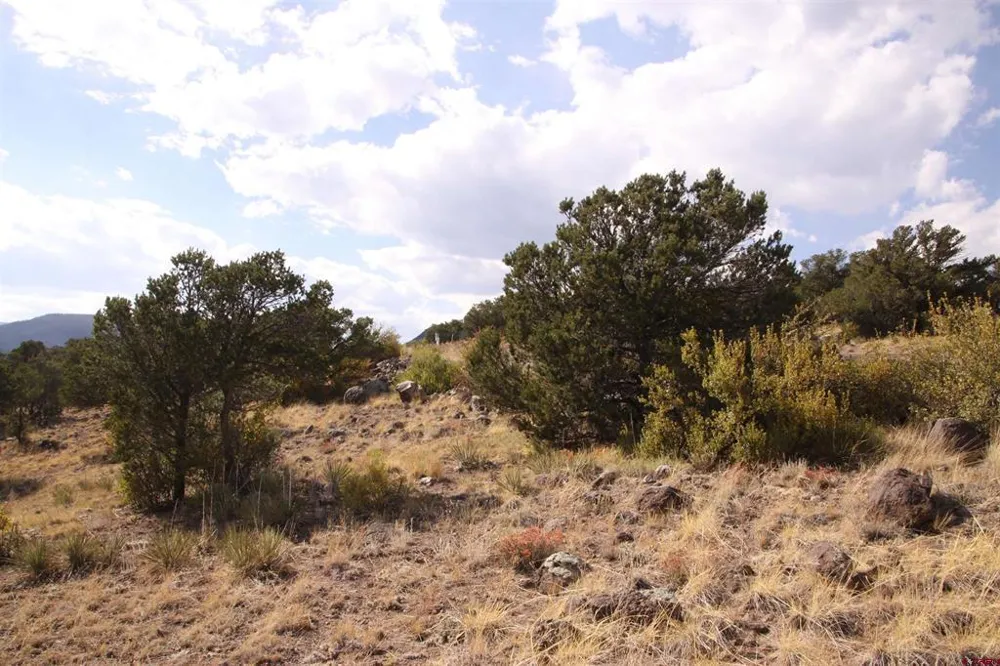 404 Vista De Verde Circle South Fork, CO 81154