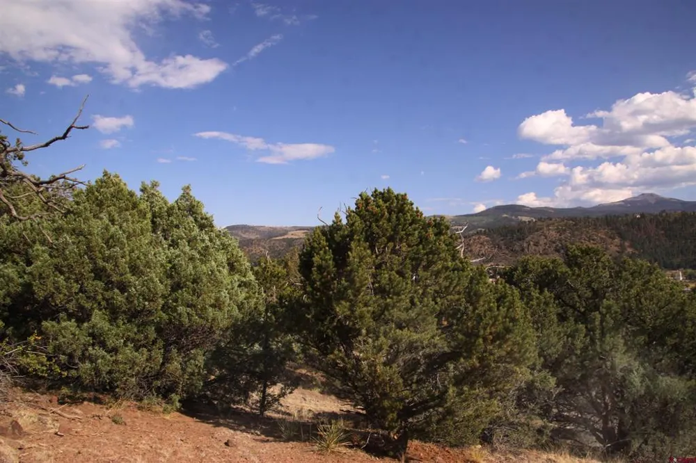 404 Vista De Verde Circle South Fork, CO 81154