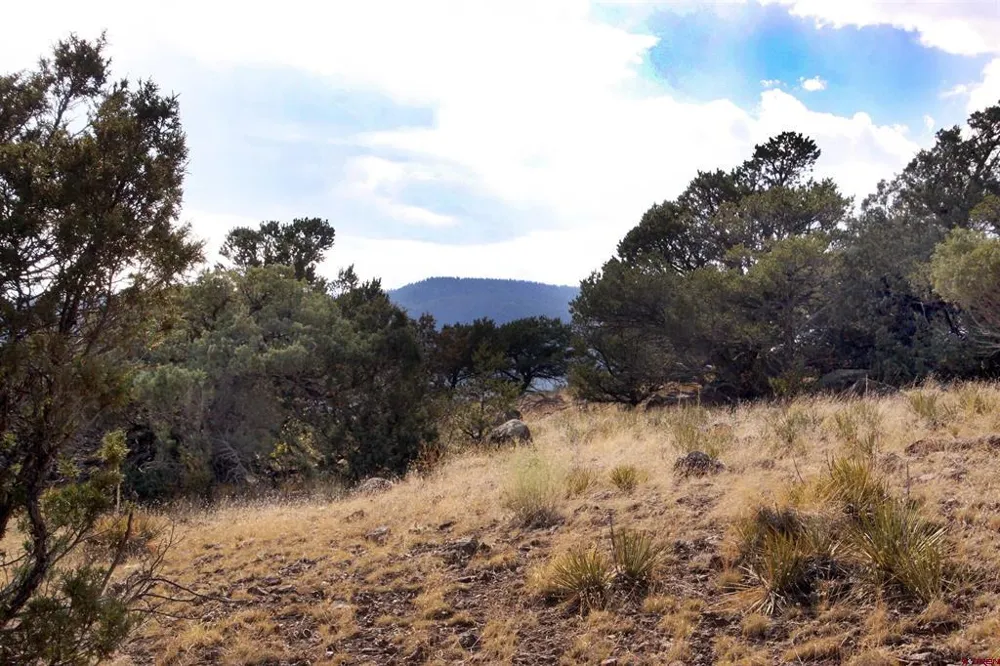404 Vista De Verde Circle South Fork, CO 81154