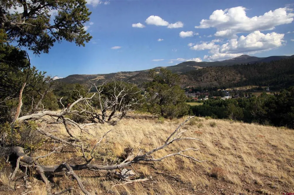 404 Vista De Verde Circle South Fork, CO 81154